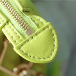 Louis Vuitton Coussin PM Bag Monogram For Women Yellow 10.2in/26cm LV M20843