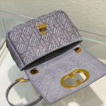 Christian Dior Medium Dior Caro Bag Gray , For Women, Women’s Handbags 25.5cm/10in CD