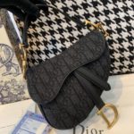 Christian Dior Saddle Bag Black Oblique Embroidered Canvas Gold Toned Hardware For Women 19.5cm/7.6in CD