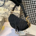 Christian Dior Saddle Bag Black Oblique Embroidered Canvas Gold Toned Hardware For Women 19.5cm/7.6in CD