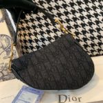 Christian Dior Saddle Bag Black Oblique Embroidered Canvas Gold Toned Hardware For Women 19.5cm/7.6in CD