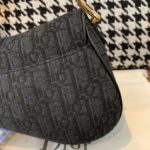 Christian Dior Saddle Bag Black Oblique Embroidered Canvas Gold Toned Hardware For Women 19.5cm/7.6in CD