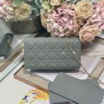 Christian Dior Lady Dior Pouch Gray, For Women, Women’s Handbags 8.5in/21.5cm CD S0204OVRB_M41G