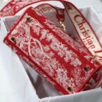 Christian Dior Medium Lady D-Lite Bag Red, For Women, Women’s Handbags 24cm/9.5in CD