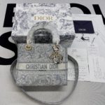 Christian Dior Medium Lady D-Lite Bag Grey, For Women, Women’s Handbags 24cm/9.5in CD