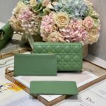 Christian Dior Lady Dior Pouch Turquoise, For Women, Women’s Handbags 8.5in/21.5cm CD