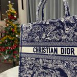 Christian Dior Large Dior Book Tote Blue Multicolor, For Women, Women’s Handbags 16.5in/42cm CD M1286ZRGO_M928