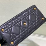 Christian Dior Micro 30 Montaigne Bag Black, For Women, Women’s Handbags 15cm/6in CD S2110UMOS_M900