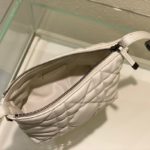 Christian Dior Small DiorTravel Nomad Pouch White, For Women, Women’s Handbags 6in/15cm CD S5553BMIG_M030