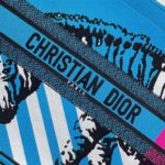 Christian Dior Large Dior Book Tote Blue And Pink, For Women, Women’s Handbags 16.5in/42cm CD
