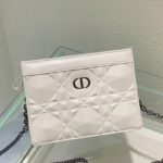 Christian Dior Caro Zipped Pouch With Chain White, For Women, Women’s Handbags 7.5in/19cm CD