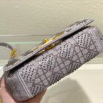 Christian Dior Medium Dior Caro Bag Gray , For Women, Women’s Handbags 25.5cm/10in CD