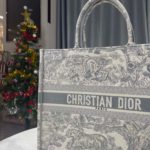 Christian Dior Large Dior Book Tote Gray Multicolor, For Women, Women’s Handbags 16.5in/42cm CD