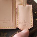 Louis Vuitton Camera Box Monogram Canvas By Nicolas Ghesquiere For Women, Women's Handbags, Shoulder And Crossbody Bags 21.5cm/8.5in LV 