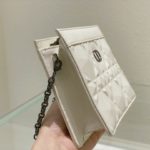 Christian Dior Caro Zipped Pouch With Chain White, For Women, Women’s Handbags 7.5in/19cm CD