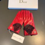 Dior Gloves In Red
