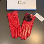 Dior Gloves In Red