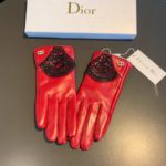 Dior Gloves In Red