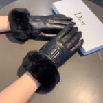 Dior Gloves In Black