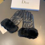 Dior Gloves In Black