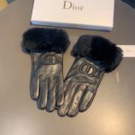 Dior Gloves In Black
