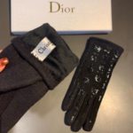 Dior Gloves In Black