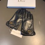 Dior Gloves In Black