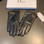 Dior Gloves In Black
