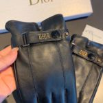 Dior Gloves In Black