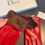 Dior Gloves In Red