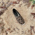Saint Laurent Women's Ysl Embroidered Espadrilles Brown For Women YSL