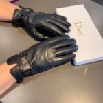 Dior Gloves In Black