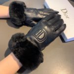 Dior Gloves In Black