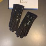 Dior Gloves In Black