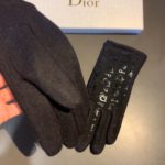 Dior Gloves In Black