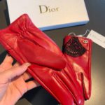 Dior Gloves In Red