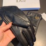 Dior Gloves In Black