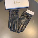 Dior Gloves In Black