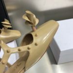 Christian Dior Women's Rose Fantastique Pump Beige For Women CD
