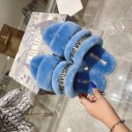 Christian Dior Women's Dior Chez Moi Slide Blue For Women CD