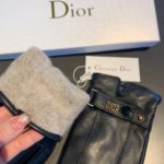 Dior Gloves In Black