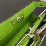 Fendi Peekaboo ISeeU Petite Green Micro Bag For Woman 11cm/4.5in