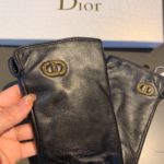 Dior Gloves In Black