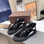 Christian Dior Women's Dior Spring Black For Women CD