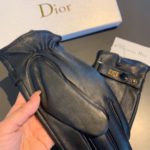 Dior Gloves In Black