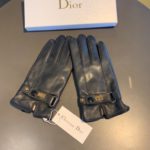 Dior Gloves In Black