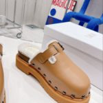 Christian Dior Women's Diorquake Clog Brown For Women CD