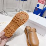 Christian Dior Women's Diorquake Clog Brown For Women CD