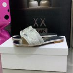 Christian Dior Women's Dway Slide Sliver For Women CD