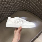 Christian Dior Women's B27 Low-Top Sneaker White For Women CD